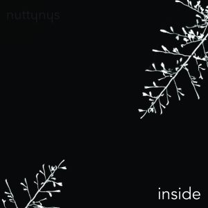 Nutty Nys – Inside