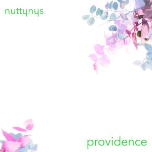 Nutty Nys – Providence