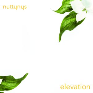 Nutty Nys – Elevation