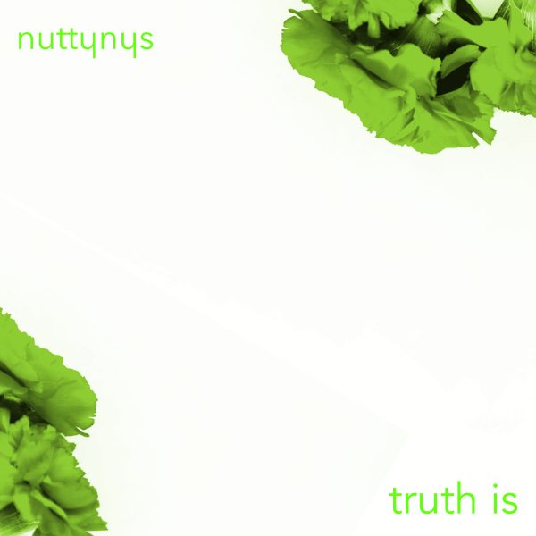 Nutty Nys - Truth Is