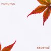 Artwork for Nutty Nys - Ascend