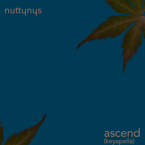 Nutty Nys – Ascend (keyapella)