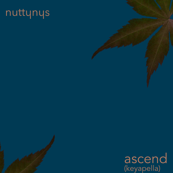 Nutty Nys - Ascend (keyapella)