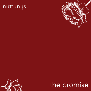 Nutty Nys – The Promise