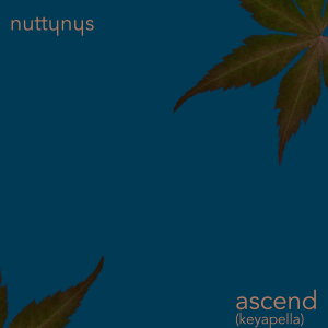 Nutty Nys - Ascend keyapella