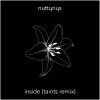 Nutty Nys - Inside (Taints Remix)