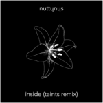 Nutty Nys - Inside (Taints Remix)