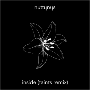 Nutty Nys - Inside (Taints Remix)