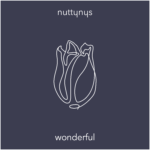 Nutty Nys - Wonderful