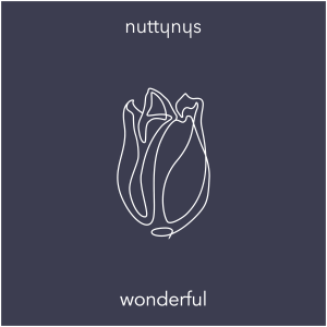 Nutty Nys – Wonderful