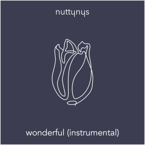 Nutty Nys - Wonderful