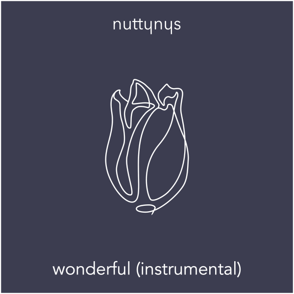 Nutty Nys - Wonderful