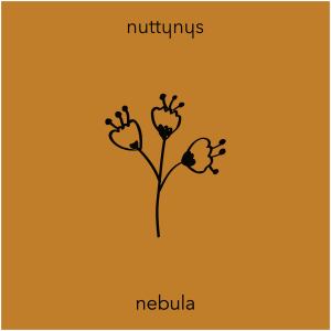 Nutty Nys – Nebula