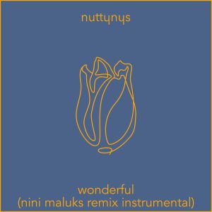 Nutty Nys – Wonderful (Nini Maluks Remix Instrumental)