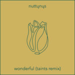 Nutty Nys Wonderful Taints Remix