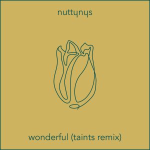 Nutty Nys – Wonderful (Taints Remix)