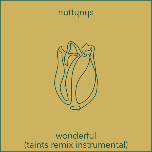 Nutty Nys Taints Remix