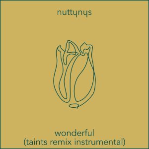 Nutty Nys – Wonderful (Taints Remix Instrumental)