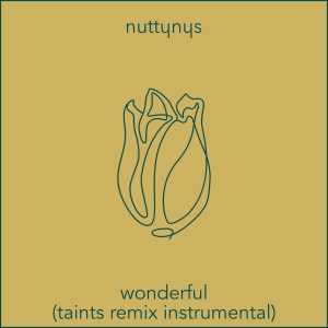 Nutty Nys Taints Remix