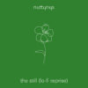 Nutty Nys The Still (Lo-Fi Reprise)