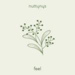 Nutty Nys Feel