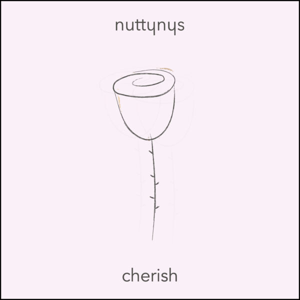 Nutty Nys - Cherish