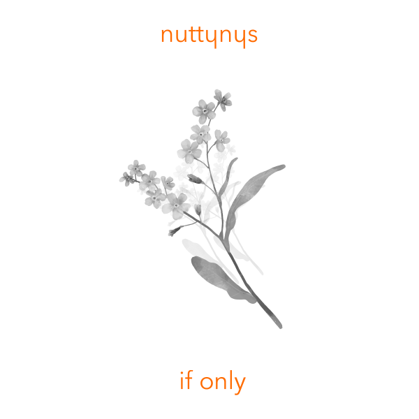 Nutty Nys - If Only