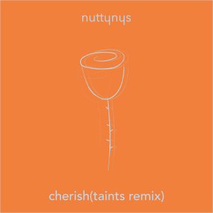 Nutty Nys – Cherish (Taints Remix)