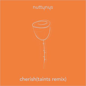 Nutty Nys – Cherish (Taints Remix Instrumental)