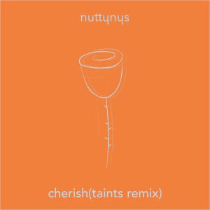 Nutty Nys – Cherish (Taints Remix)