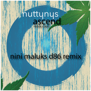 Nutty Nys – Ascend (Nini Maluks D86 Remix)