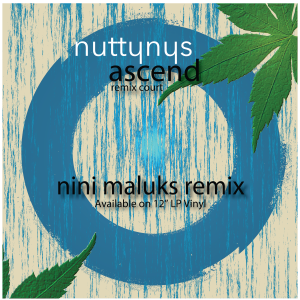 Nutty Nys – Ascend (Nini Maluks Remix)