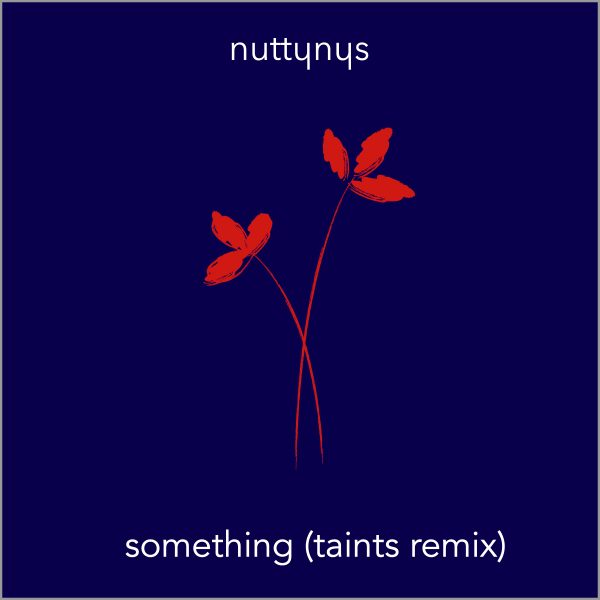 Nutty Nys - Something (Taints Remix)