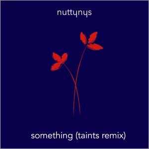 Nutty Nys – Something (Taints Remix Instrumental)