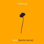 Nutty Nys - Sent (Taints Remix)