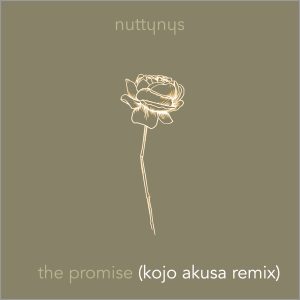Nutty Nys – The Promise (Kojo Akusa Remix) Instrumental