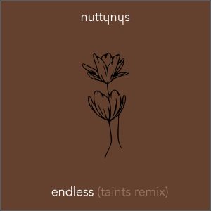 Nutty Nys – Endless (Taints Instrumental)