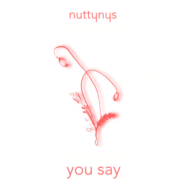 Nutty Nys - You Say